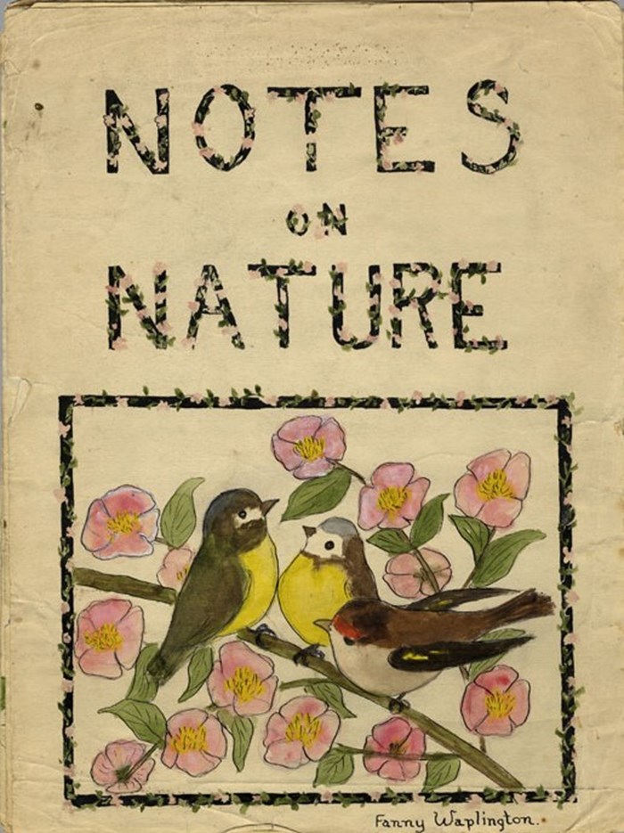 Notes on Nature by Fanny Waplington
