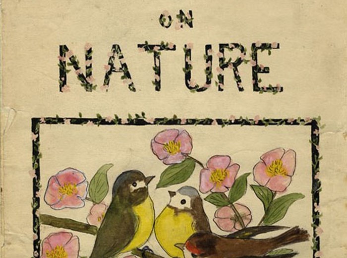 Notes on Nature by Fanny Waplington